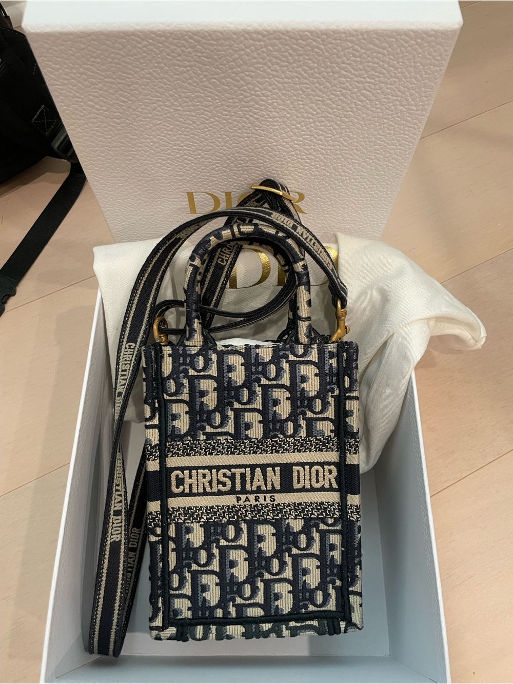 Dior Book Tote Mini Bag